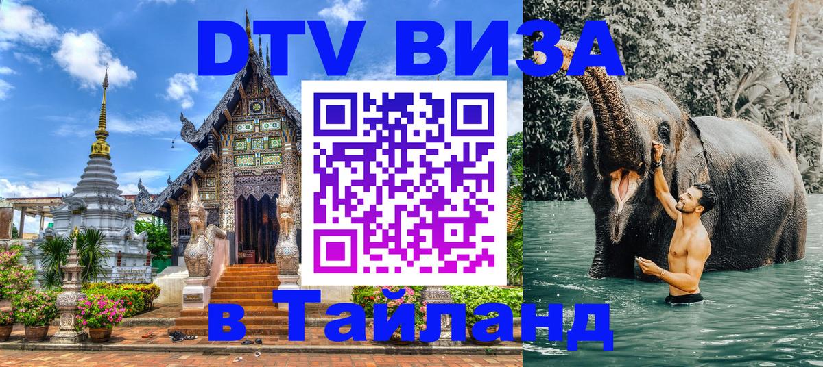 Сколько стоит DTV виза — актуальные цены, оформление даже без документов - Цхинвал 